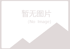 上海宝山迎夏咨询有限公司